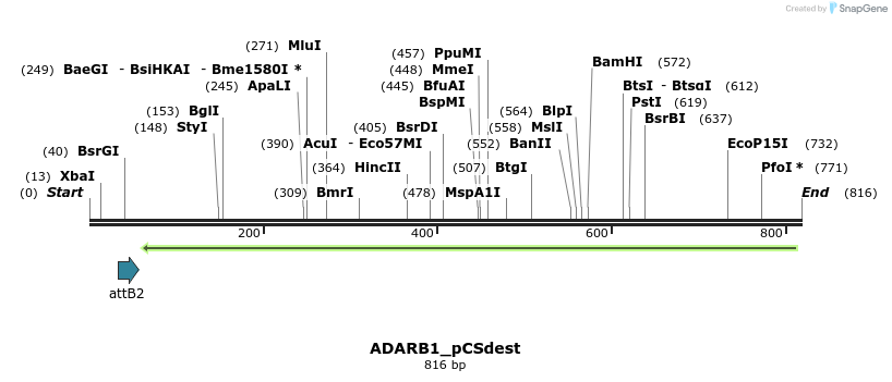 153913_map