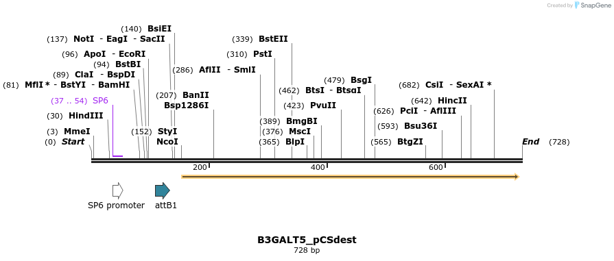 153915_map