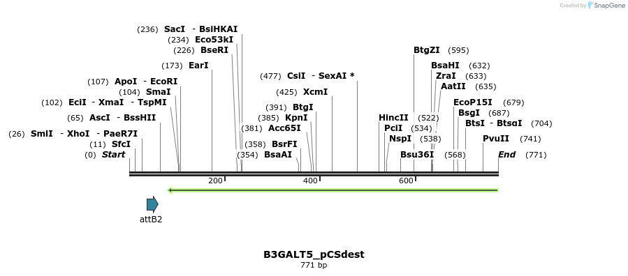 153916_map