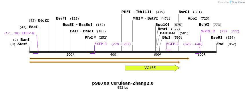 153972_map