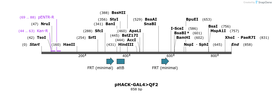 153973_map