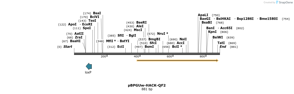 153978_map