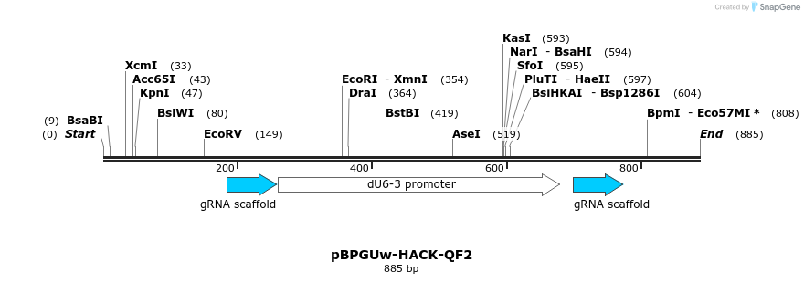 153980_map