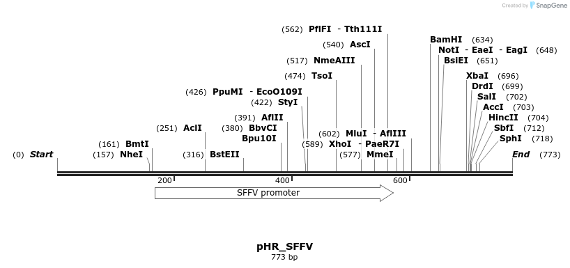 153993_map