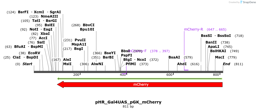 153998_map