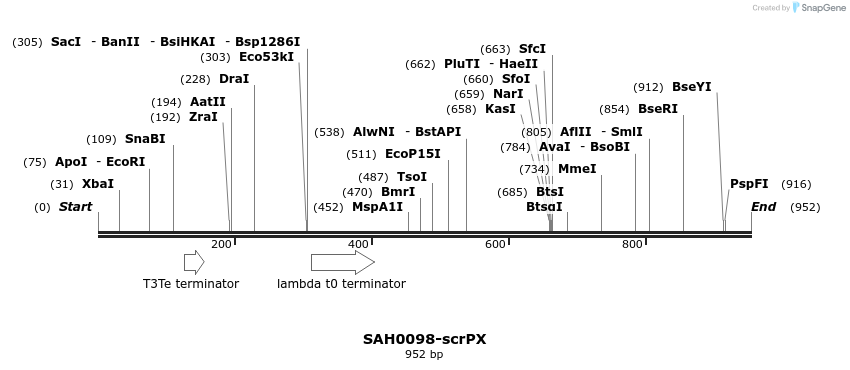 154001_map