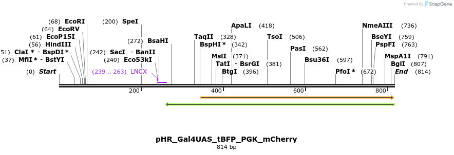 154009_map