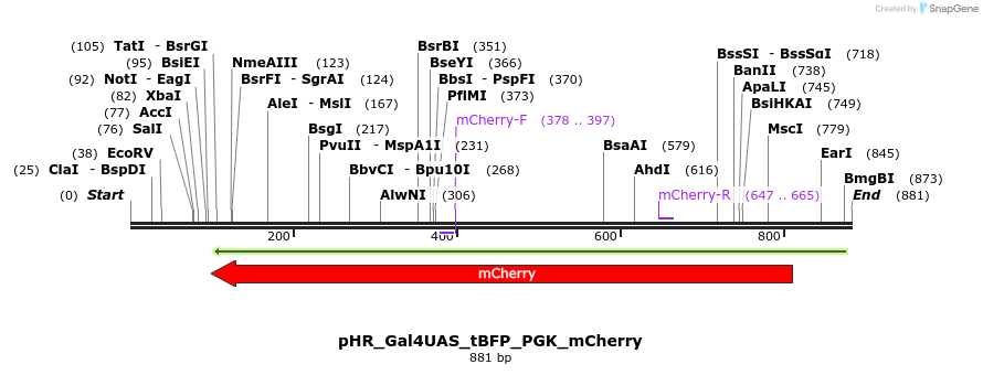 154010_map