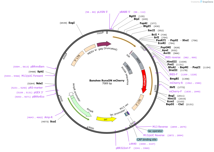 154013_map