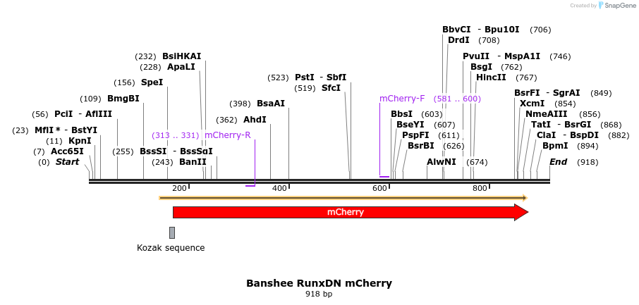 154015_map