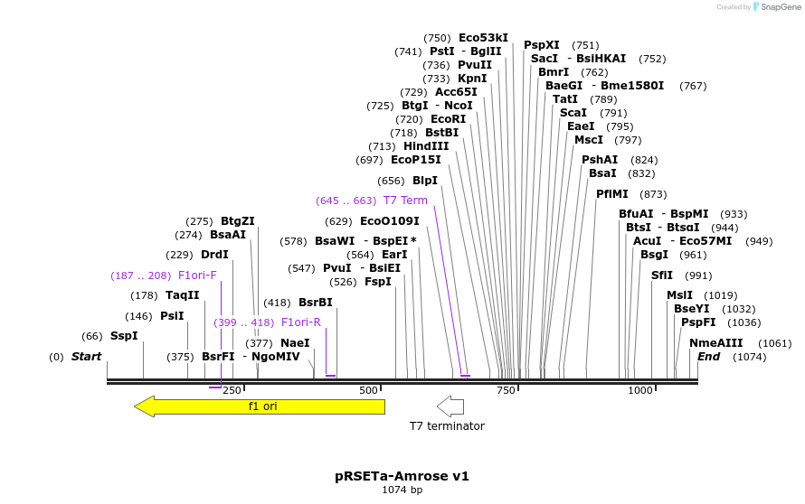 154019_map