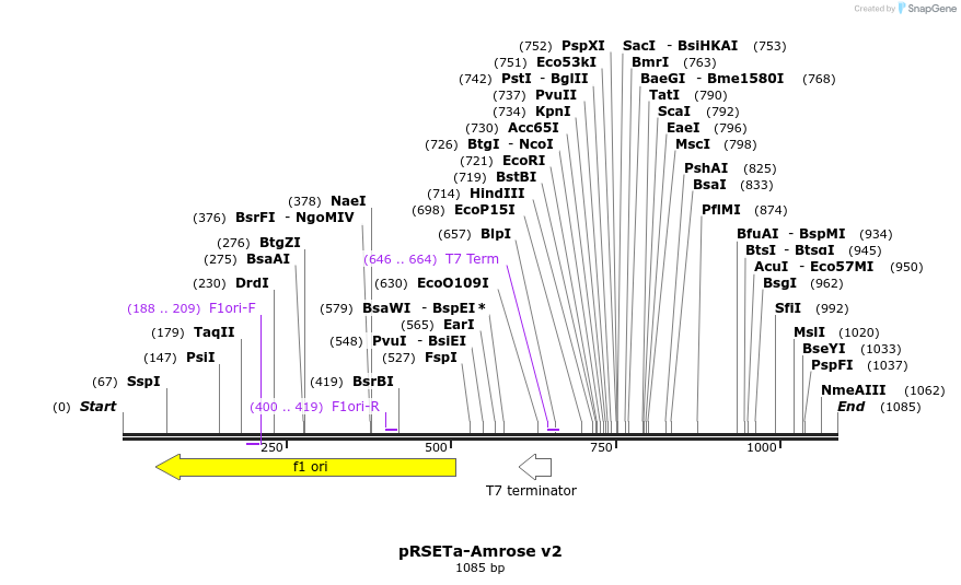 154021_map
