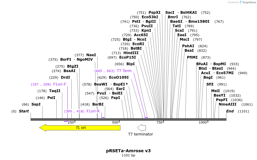154024_map