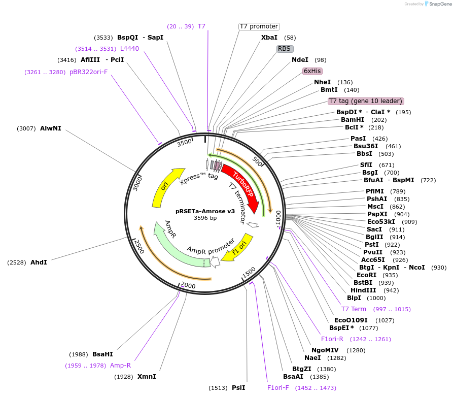 154026_map