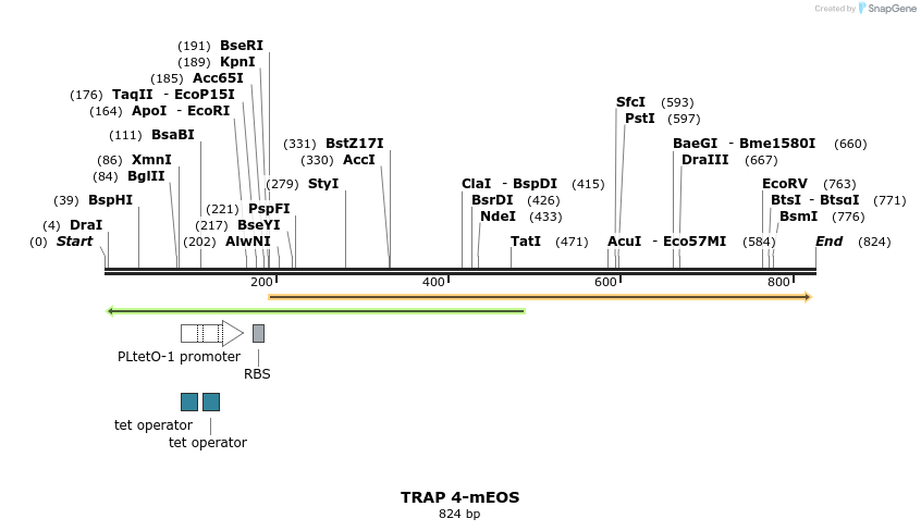 154029_map