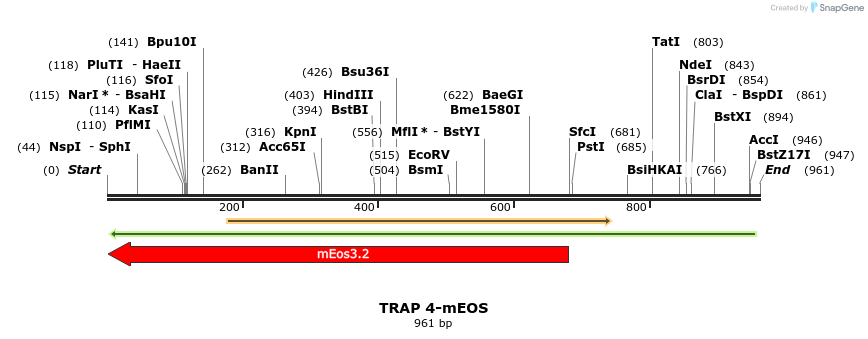 154030_map