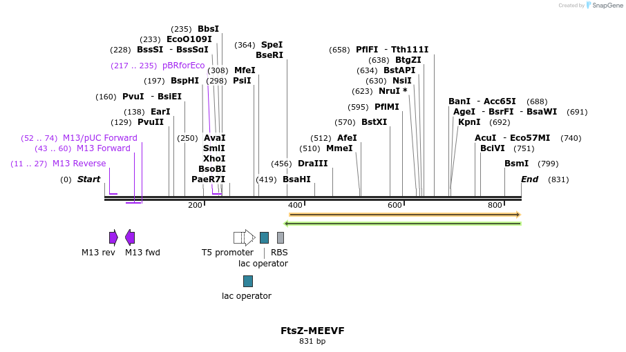 154032_map
