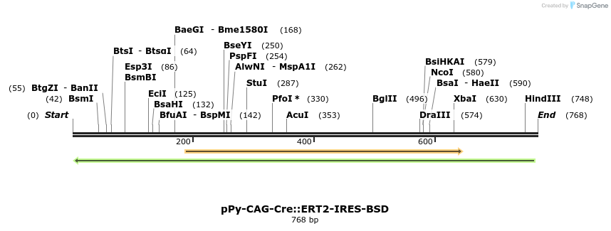 154035_map