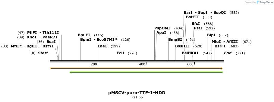 154046_map