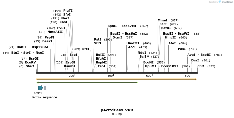 154057_map