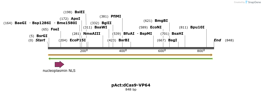 154063_map