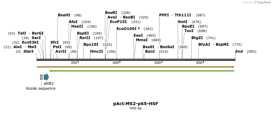 154066_map