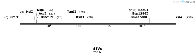 154074_map