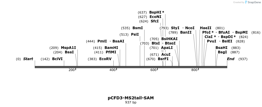 154077_map