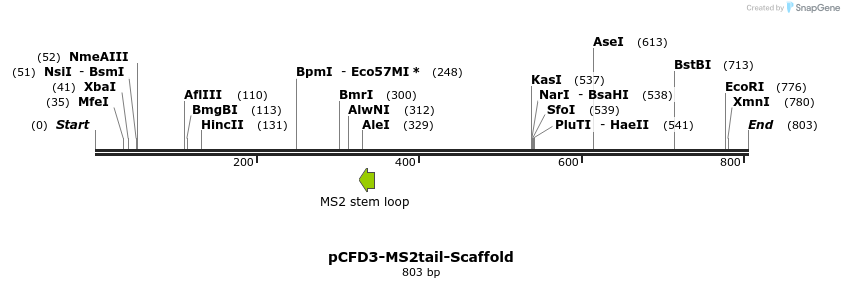 154079_map