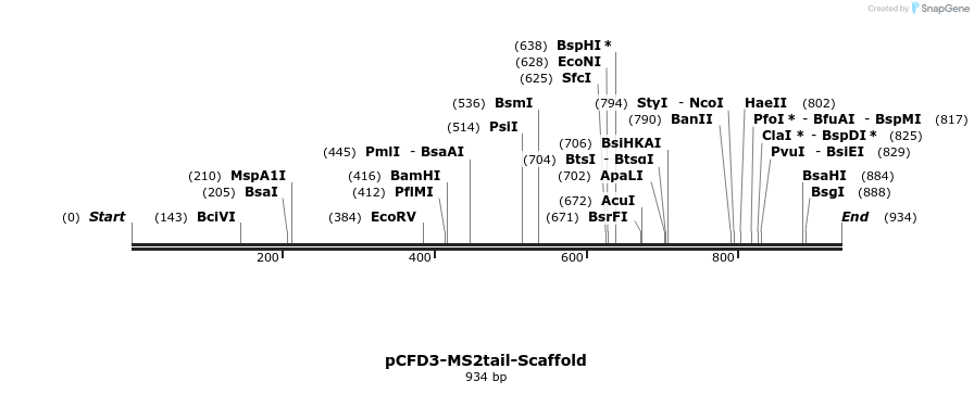 154080_map