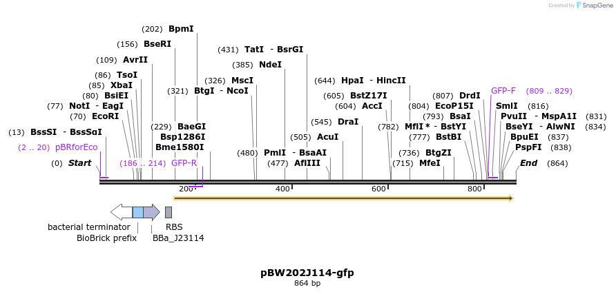 154088_map