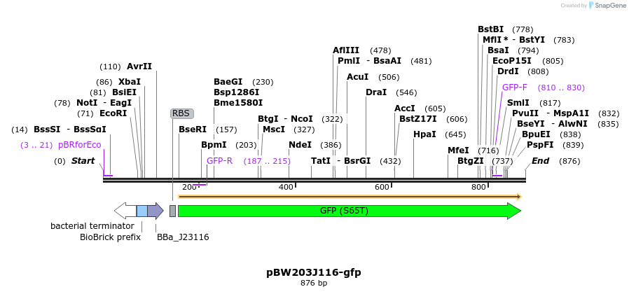 154095_map