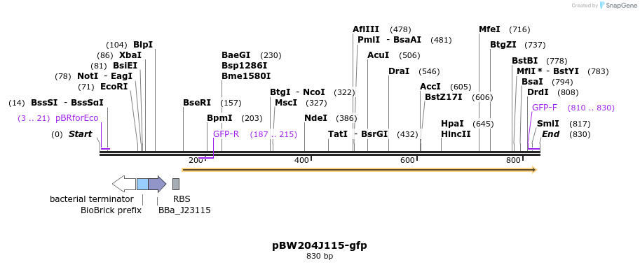 154100_map
