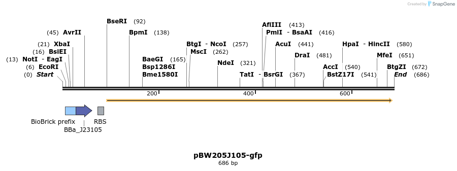 154105_map