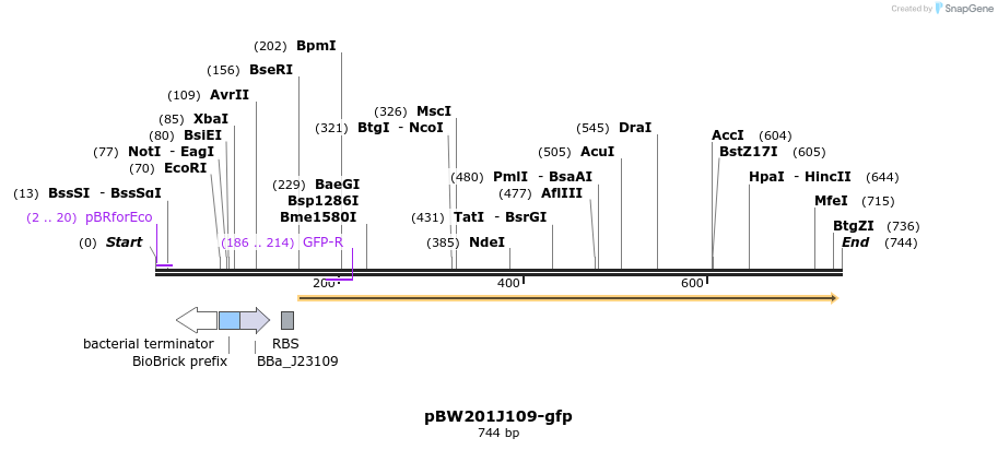 154108_map