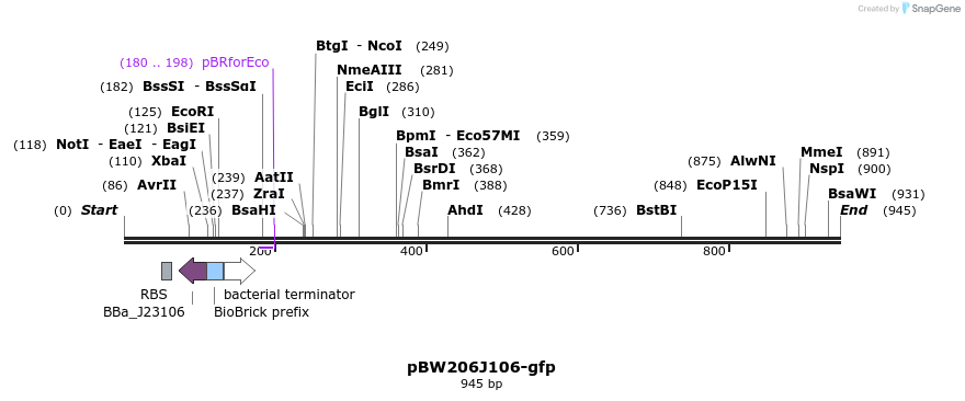 154118_map