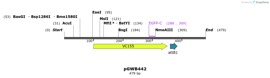 154122_map