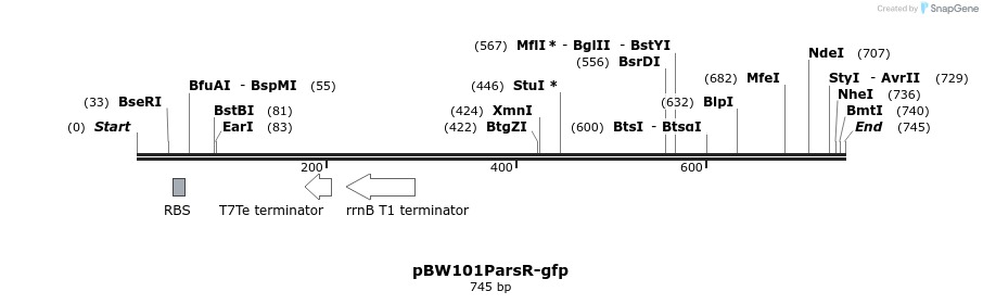 154125_map