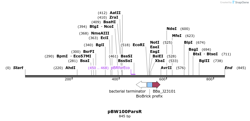154130_map