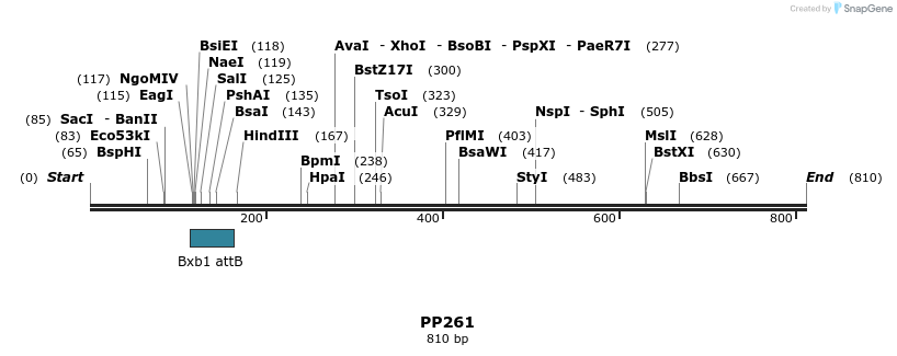 154136_map