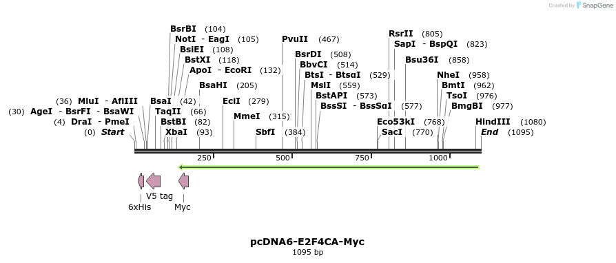 154140_map