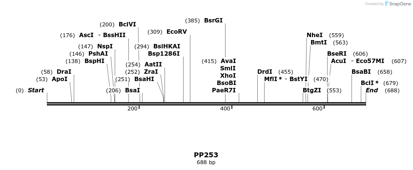 154141_map