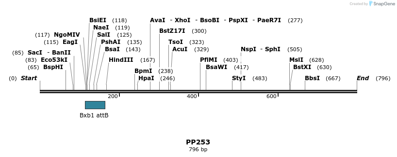 154142_map