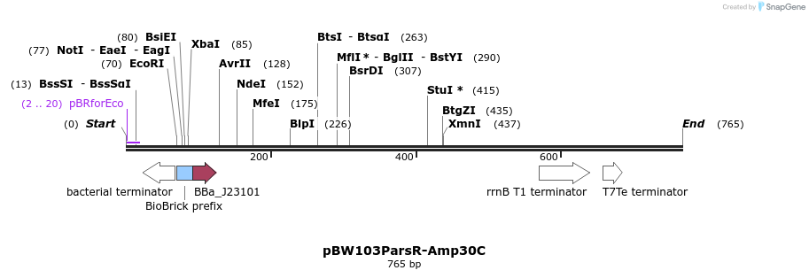 154147_map