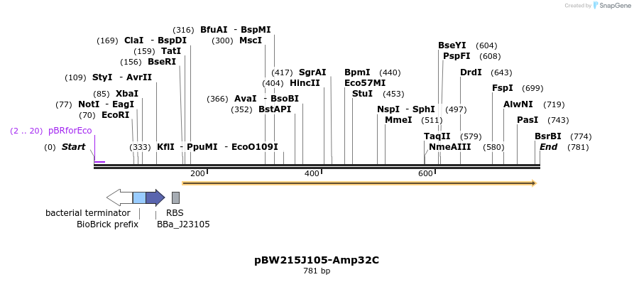 154169_map