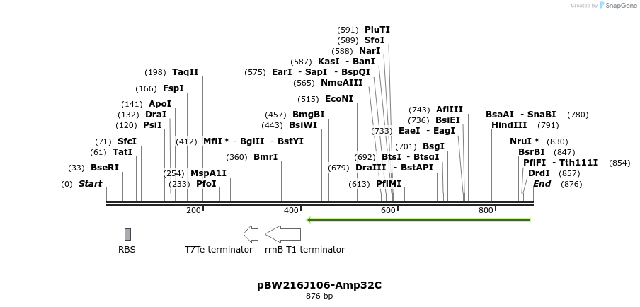 154176_map