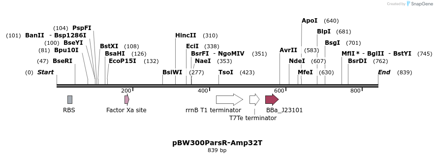 154184_map