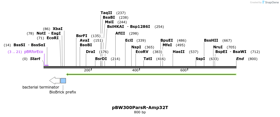 154185_map