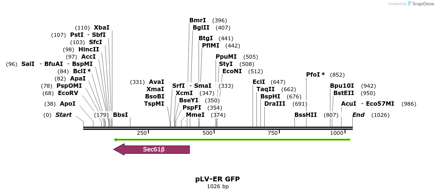 154193_map