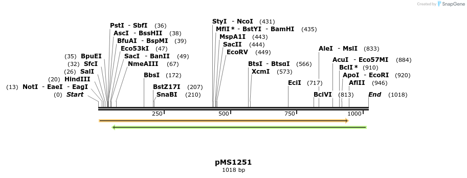 154202_map